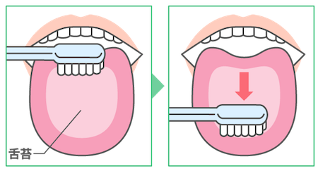 歯ブラシを動かす方向は「舌の奥から手前」