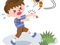 スズメバチによる死亡事故発生！～ スズメバチに刺されたときの対処法 ～