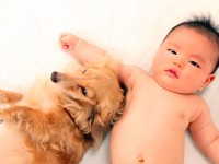 「小児喘息」は動物とのふれあいで対策できる！？