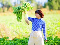 有機野菜・オーガニック野菜・特別栽培野菜…違いは？