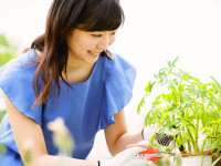 ガーデニングが健康法に！ 「園芸療法」をご存じですか？