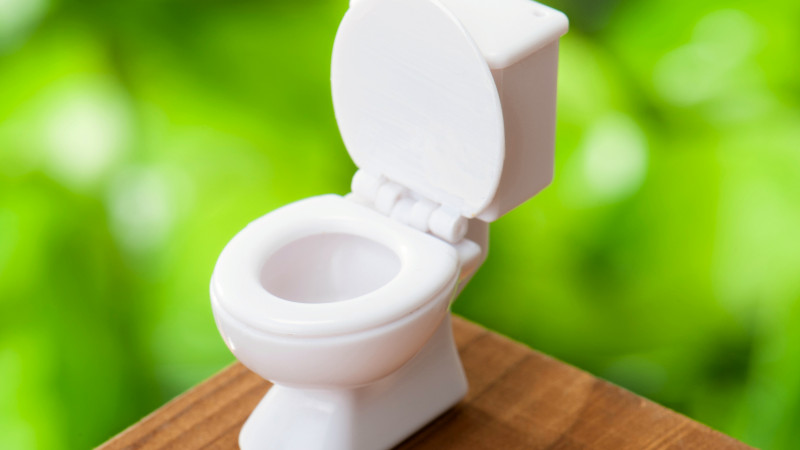 尿意を感じたら？「すぐトイレに行く」vs「少しガマンする」